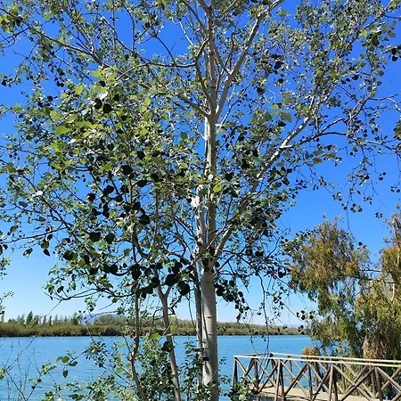 Appartamento La Barcassa De Deltebre